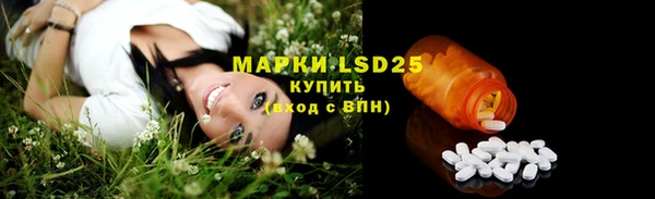твердый Верхний Тагил