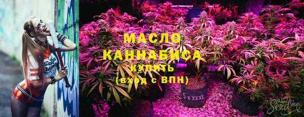 твердый Верхний Тагил