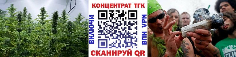 ТГК концентрат omg ссылки Ельня